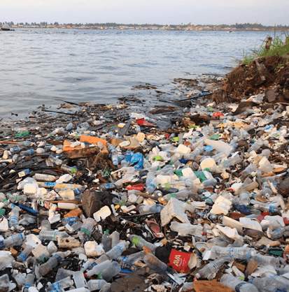 Water Pollution in Florida